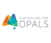 Australian Opal Necklace | Australian Fire Opals image 1